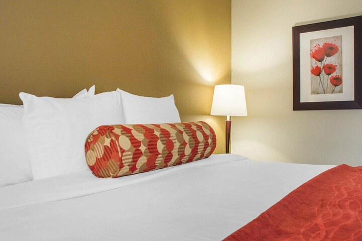 1 King Bed (3 of 12)