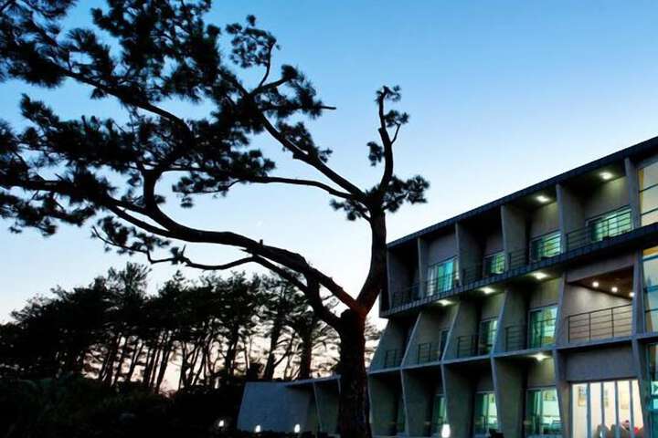 The BBs Jeju Resort
