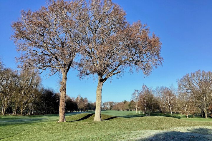 Golf 15 of 31