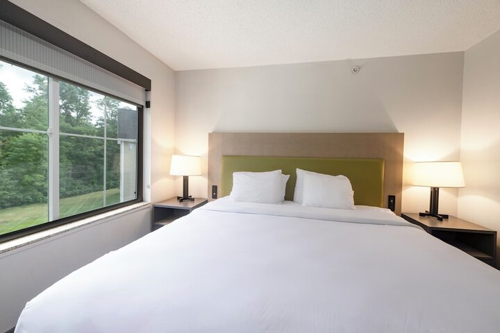 1 King Bed (37 of 38)