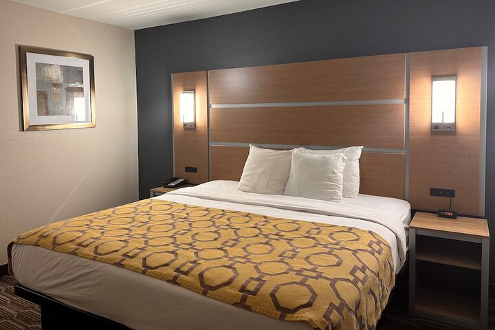 1 King Bed (23 of 32)
