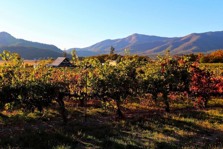 Winery