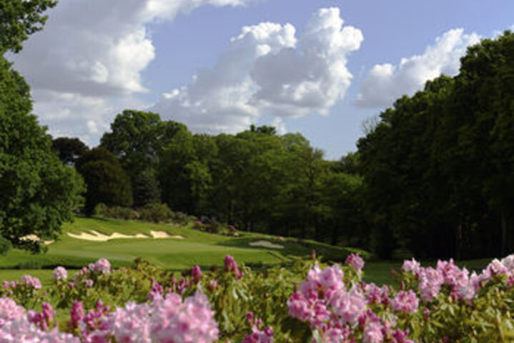 Golf 19 of 72