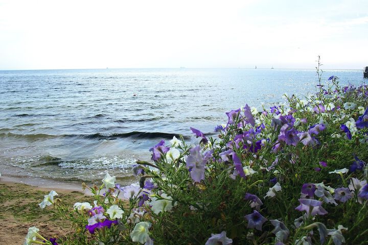 Beach 114 of 119