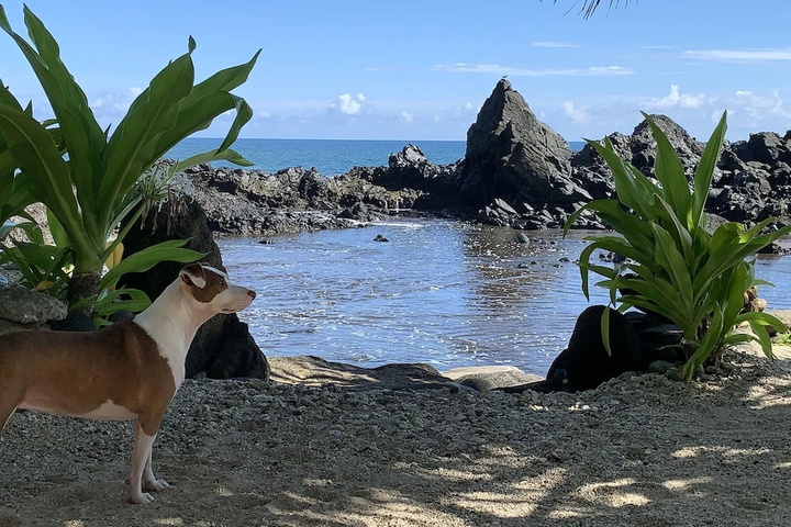 Beach 4 of 11
