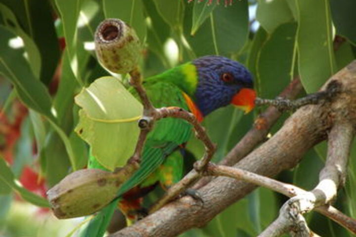 Property Grounds 55 of 62