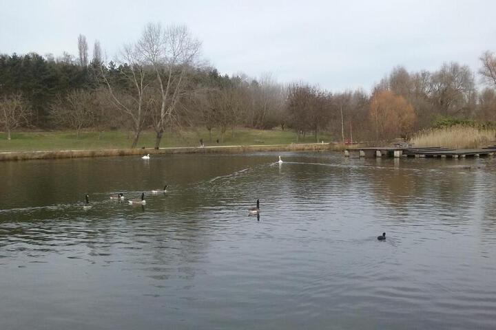 Spa and Wellness Pictures