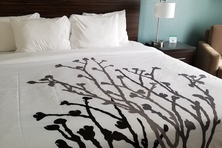 1 King Bed Mobility Accessible (8 of 29)