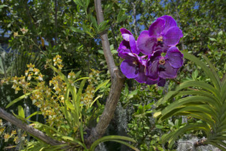 Hotel Exterior 6 of 40