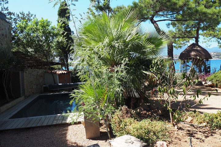 Terrace/Patio 57 of 144