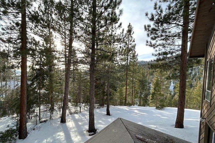 Property Grounds 47 of 49
