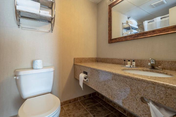 1 King Bed Accessible (3 of 9)