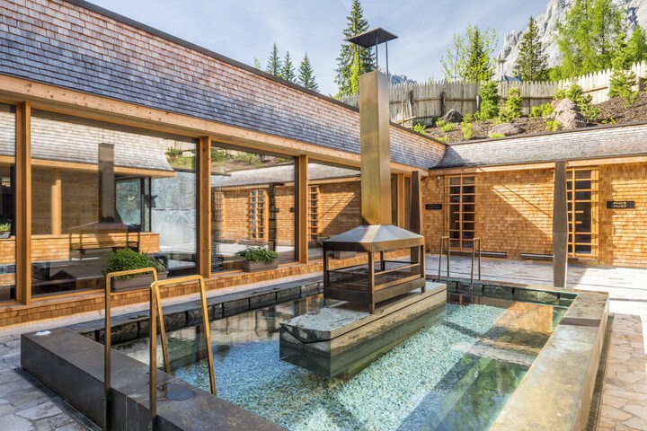Wellness Treatments
