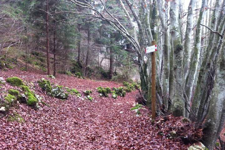 Property Grounds 50 of 60