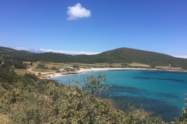 Beach 60 of 66