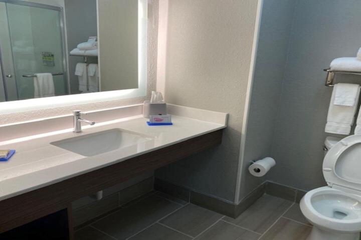 1 King Bed Standard Mobility Accessible Tub (11 of 15)