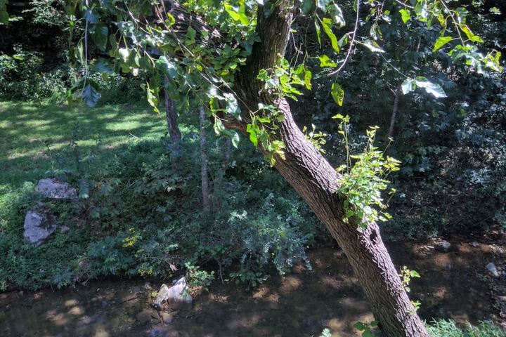 Property Grounds 40 of 53