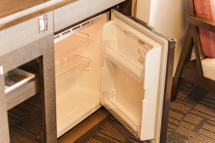 Mini-refrigerator