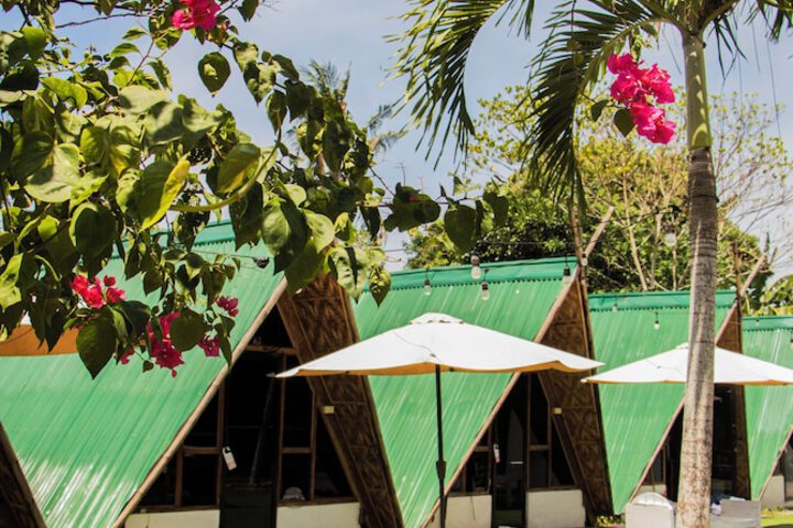 Glamping Alona