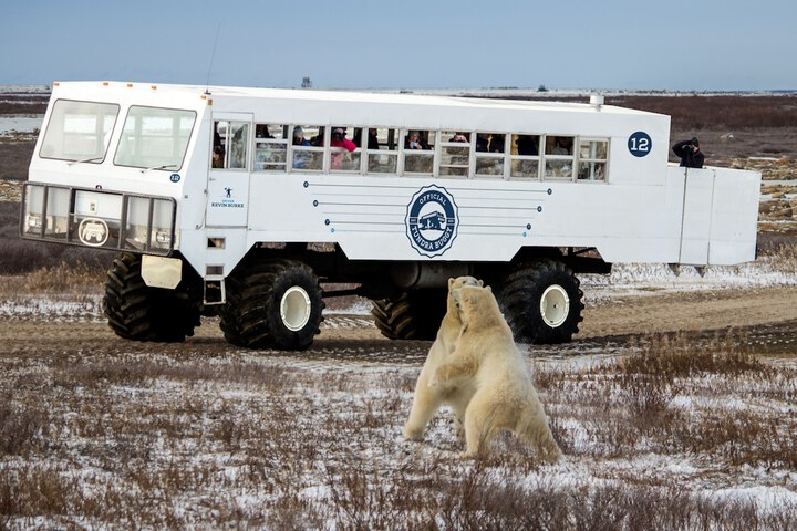 Ecotours