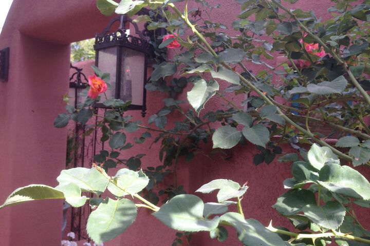 Hotel Exterior 258 of 285