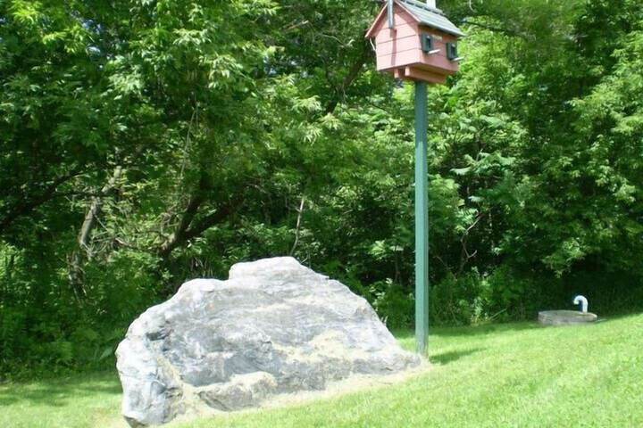 Property Grounds 11 of 18
