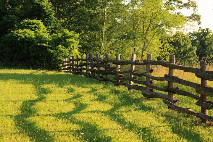 Property Grounds 74 of 80