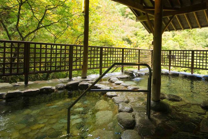 Wellness Treatments