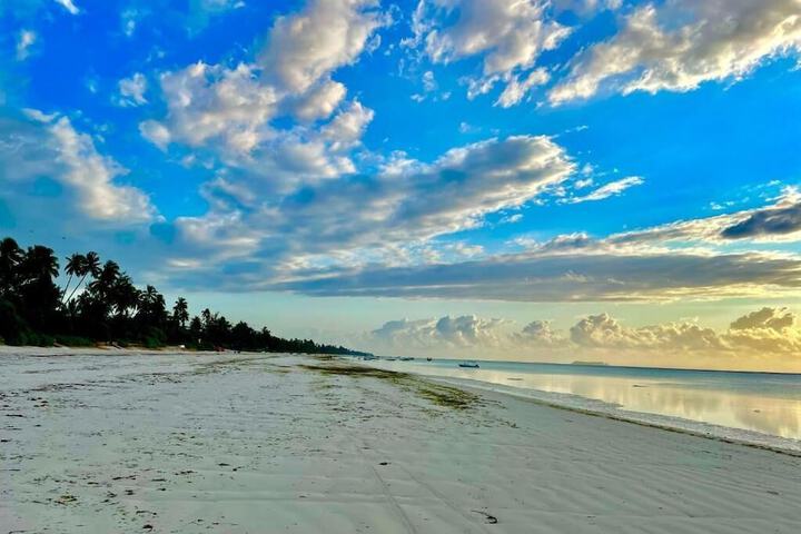 Beach 72 of 96