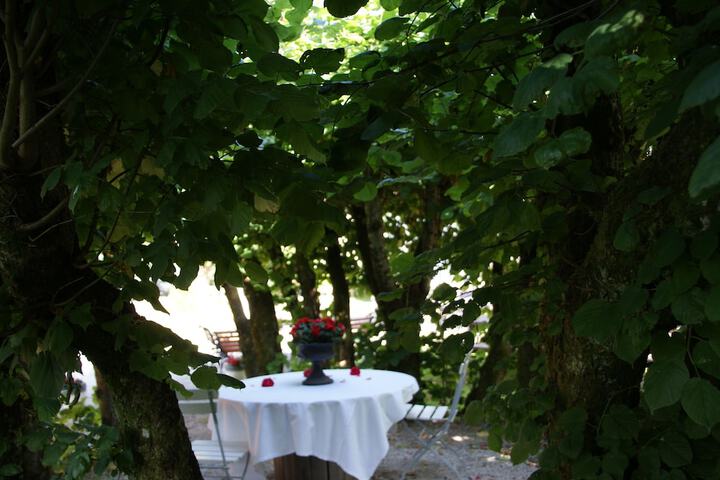 Dining 41 of 43