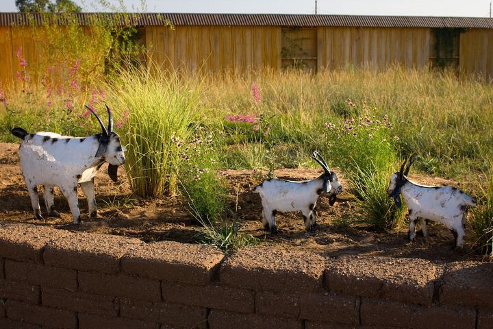 Property Grounds 33 of 41