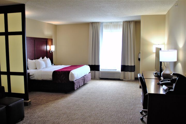 1 King Bed Suite (28 of 30)
