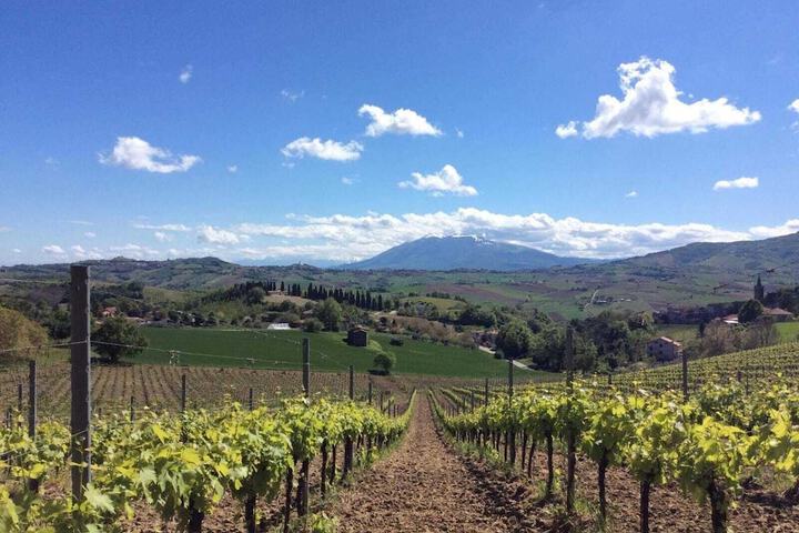 General 32 of 42