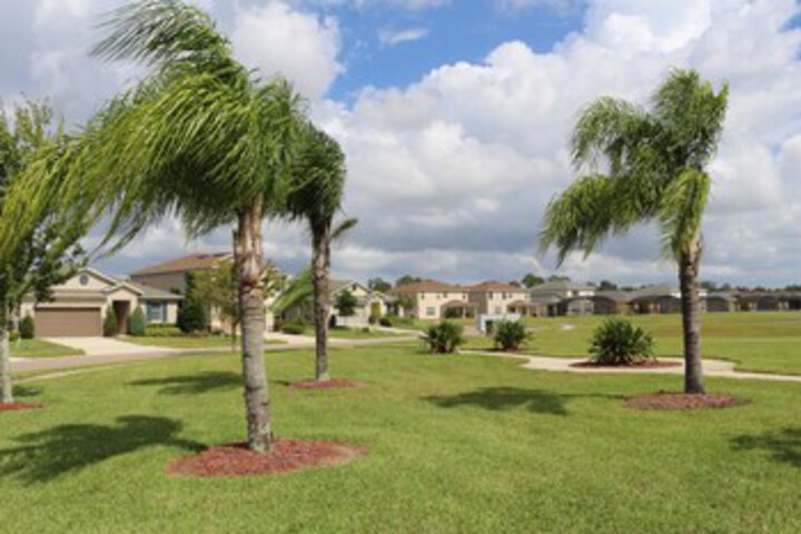 Blue Diamond Villa Villa in Kissimmee, FL