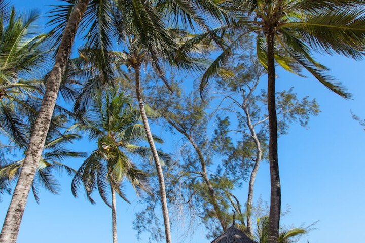 Beach 36 of 42