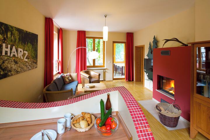Plumbohms Echt-Harz-Apartments in Bad Harzburg