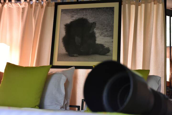 Room 25 of 74