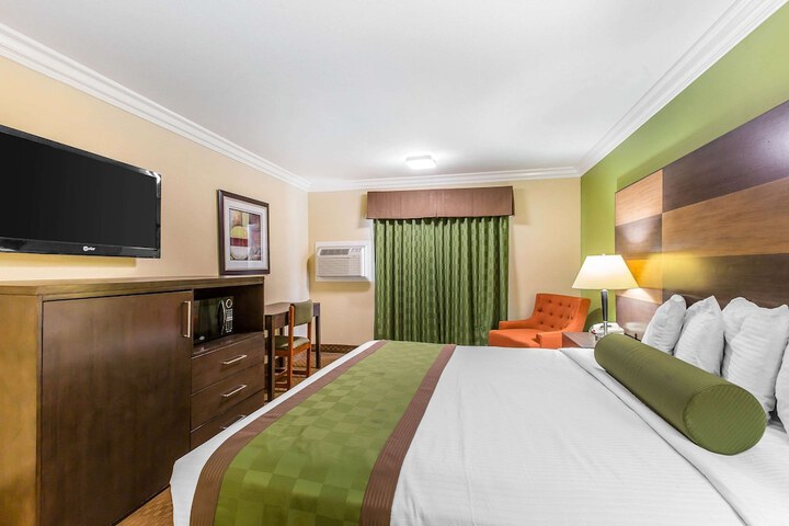 1 King Bed (8 of 9)