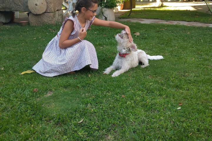 Pet Friendly 37 of 58