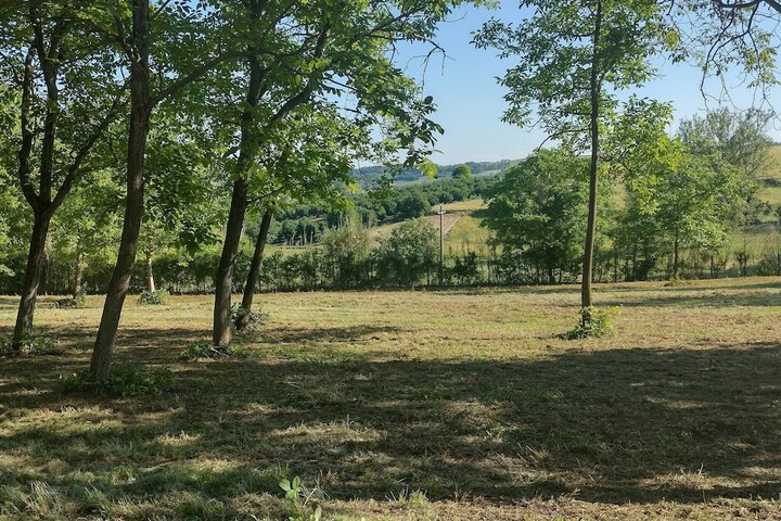 Property Grounds 23 of 35