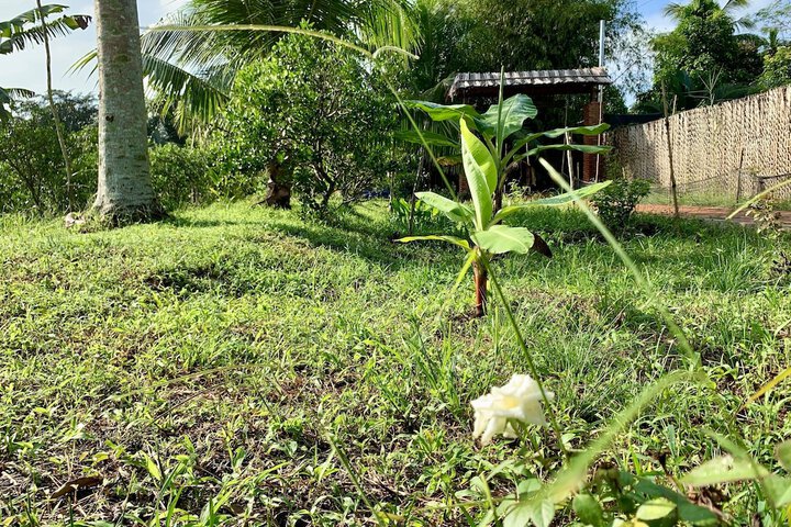 Hotel Exterior 85 of 139