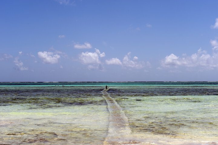 Beach 127 of 135