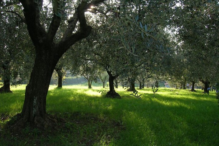 Property Grounds 21 of 27