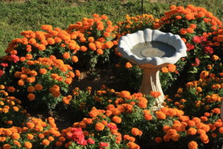 Hotel Exterior 10 of 79