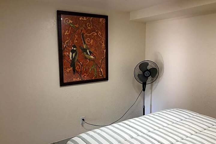 Photo 49