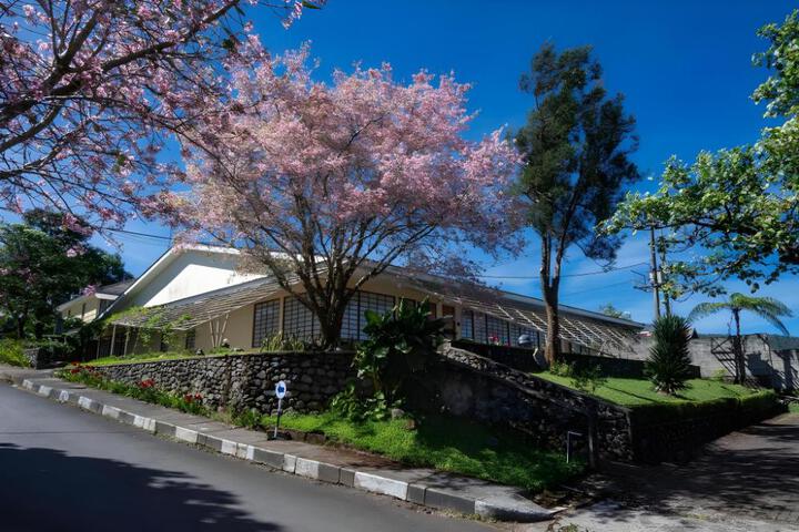 Malino Highlands