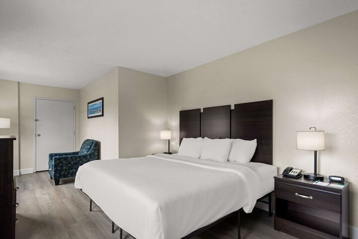 1 King Bed (3 of 15)