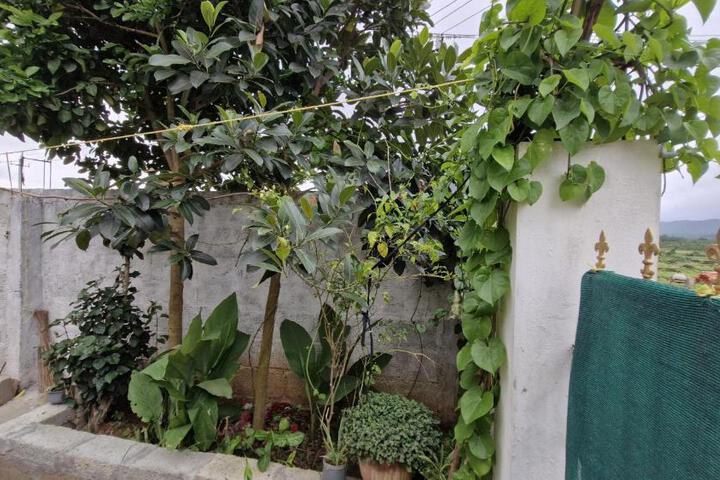General 31 of 33