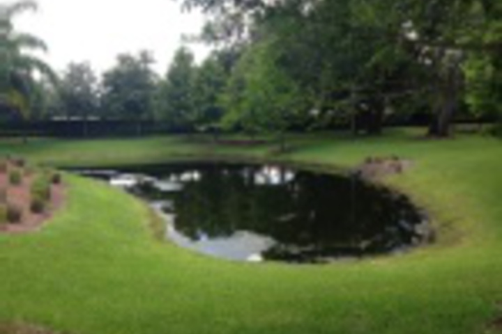 Property Grounds 17 of 323