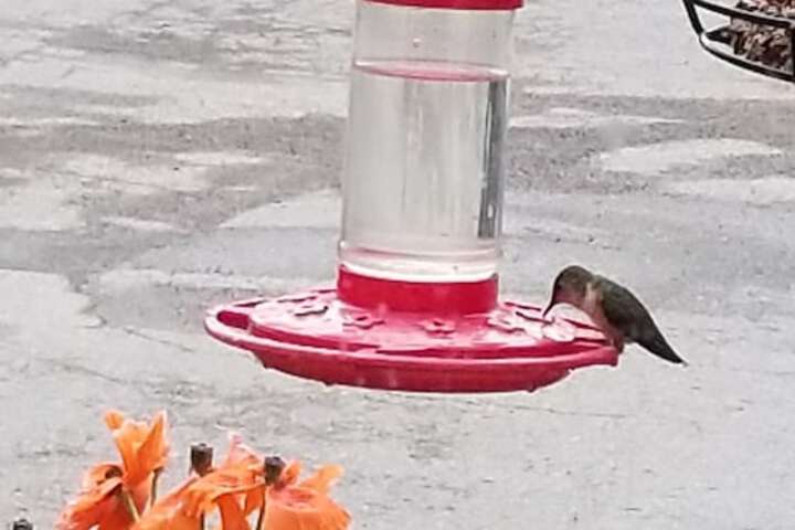 Hotel Exterior 32 of 44